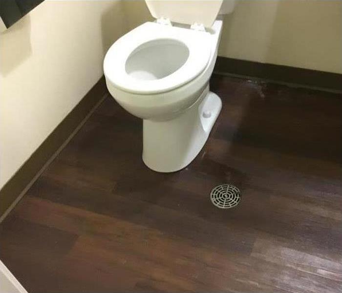 Toilet Damage Cleanup