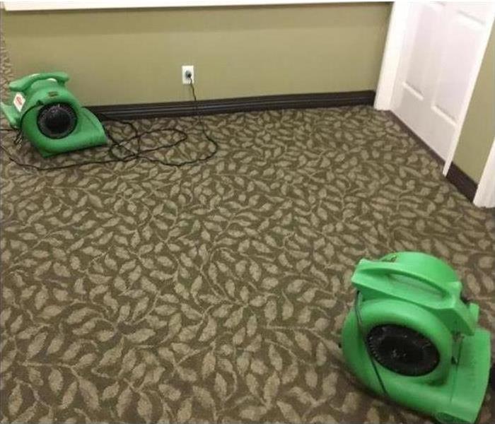 Commercial carpet cleaning.